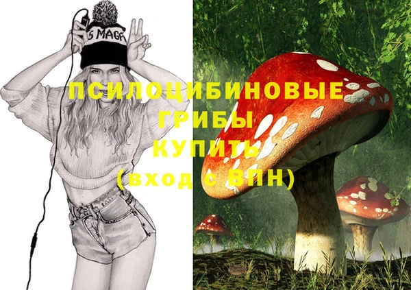 мдма Богданович