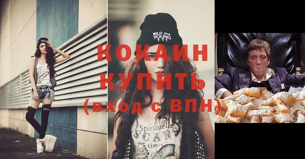 a pvp Бородино