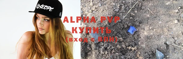 a pvp Бородино