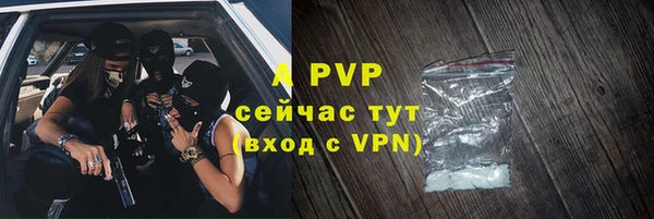 a pvp Бородино