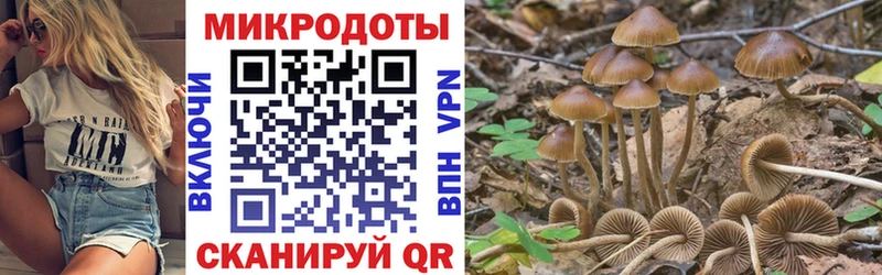 Галлюциногенные грибы MAGIC MUSHROOMS Кинешма